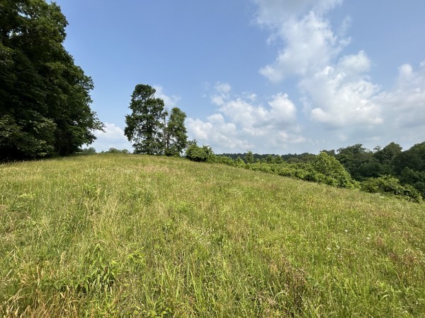 3807 Bear Creek Road Thompsons Station TN 37179