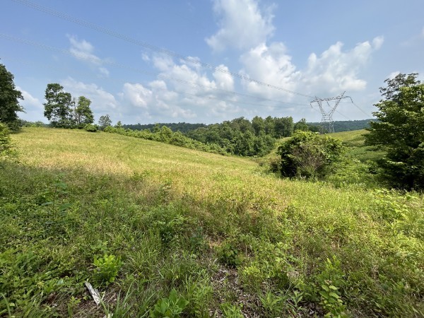 3807 Bear Creek Road Thompsons Station TN 37179