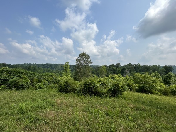 3807 Bear Creek Road Thompsons Station TN 37179