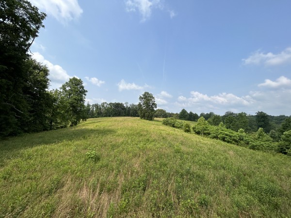 3807 Bear Creek Road Thompsons Station TN 37179