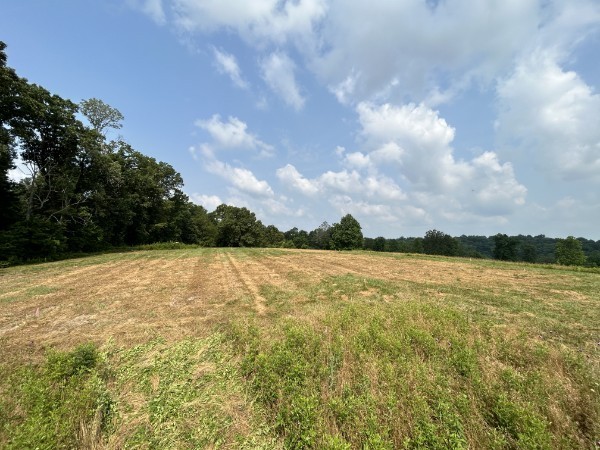 3807 Bear Creek Road Thompsons Station TN 37179
