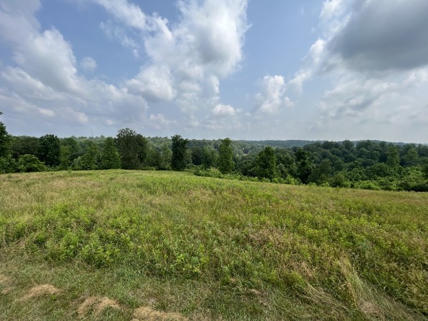 3807 Bear Creek Road Thompsons Station TN 37179