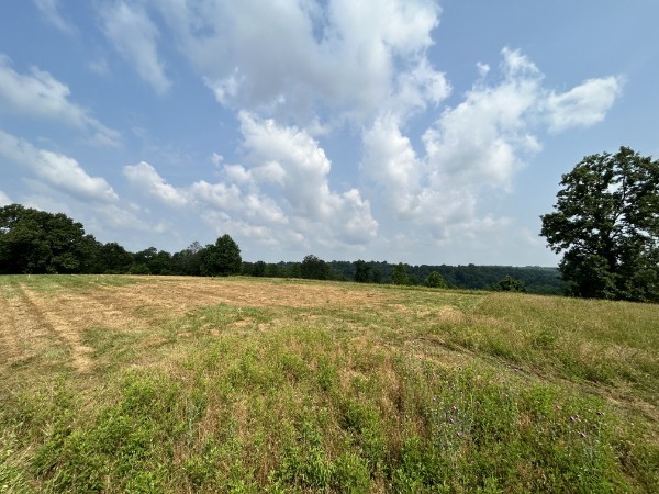 3807 Bear Creek Road Thompsons Station TN 37179