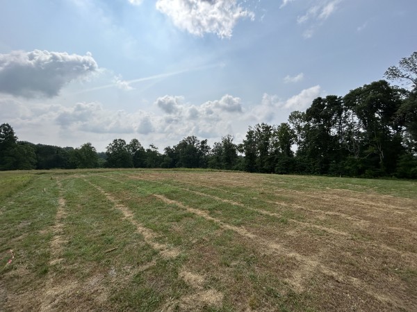3807 Bear Creek Road Thompsons Station TN 37179