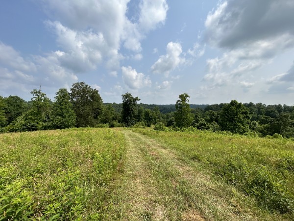 3807 Bear Creek Road Thompsons Station TN 37179