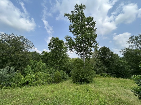 3807 Bear Creek Road Thompsons Station TN 37179