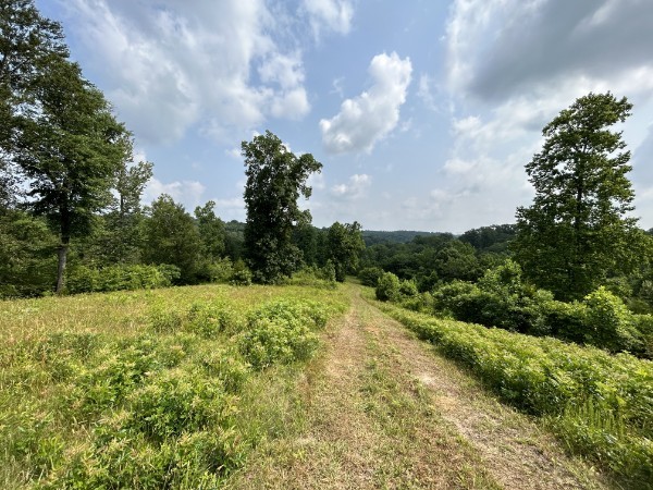 3807 Bear Creek Road Thompsons Station TN 37179