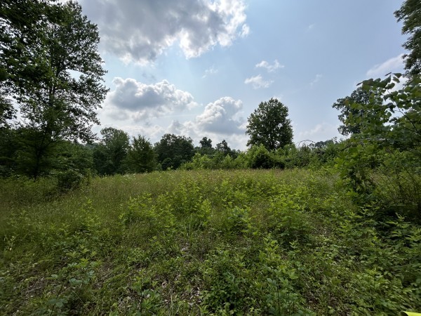 3807 Bear Creek Road Thompsons Station TN 37179