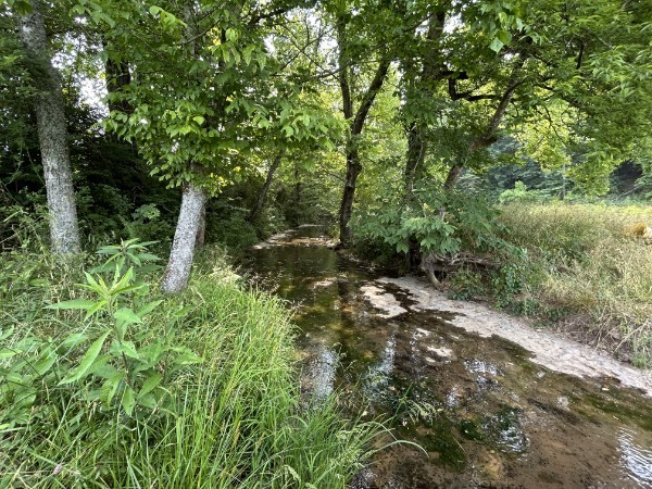3807 Bear Creek Road Thompsons Station TN 37179