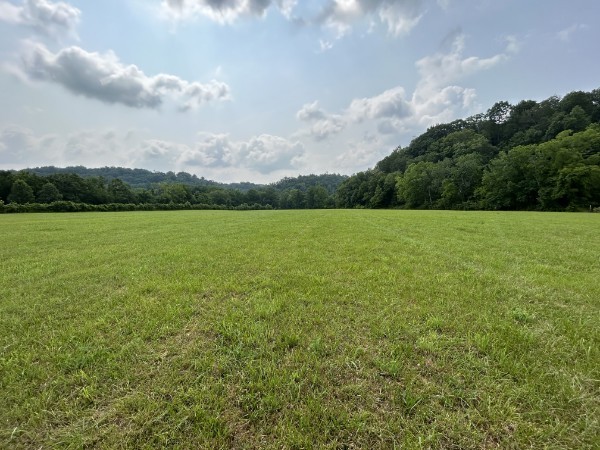 3807 Bear Creek Road Thompsons Station TN 37179