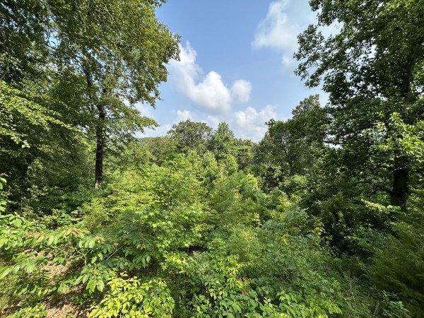 3807 Bear Creek Road Thompsons Station TN 37179