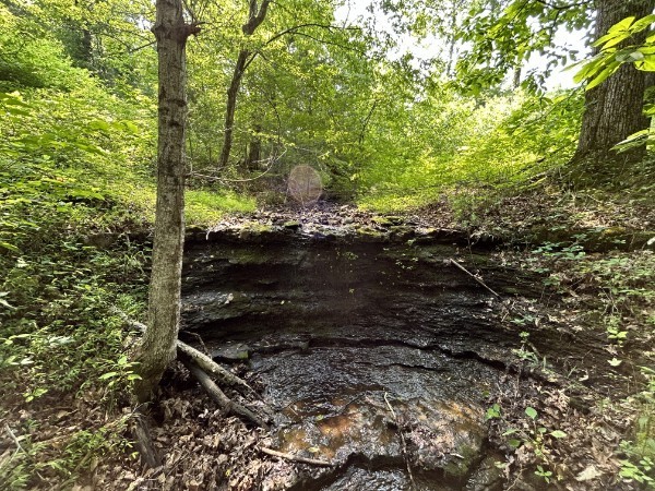 3807 Bear Creek Road Thompsons Station TN 37179