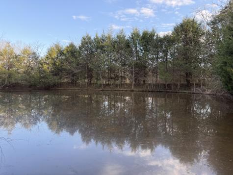 1565 Old Elkton Pike Dellrose TN 38453
