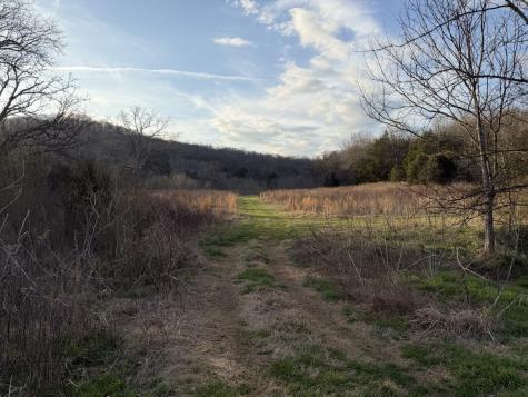 1565 Old Elkton Pike Dellrose TN 38453