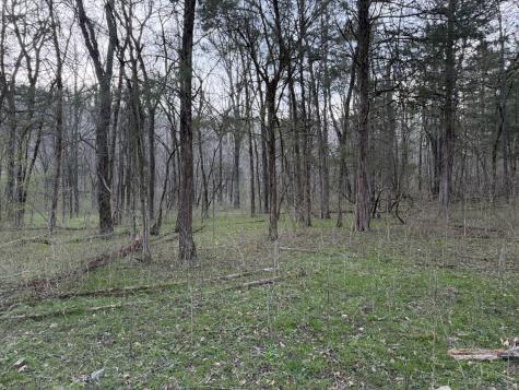 1565 Old Elkton Pike Dellrose TN 38453