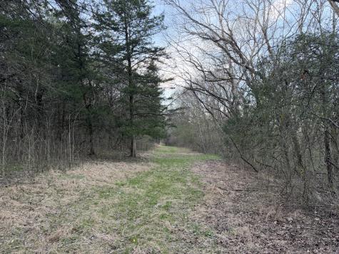1565 Old Elkton Pike Dellrose TN 38453