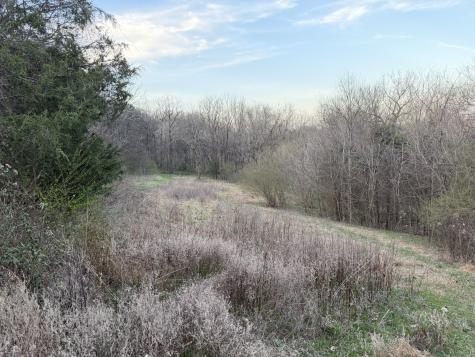 1565 Old Elkton Pike Dellrose TN 38453
