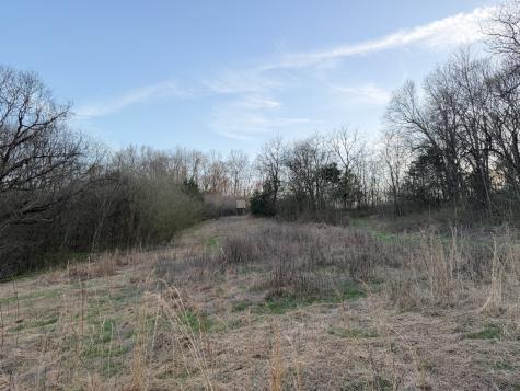 1565 Old Elkton Pike Dellrose TN 38453