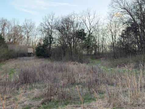 1565 Old Elkton Pike Dellrose TN 38453