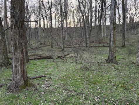 1565 Old Elkton Pike Dellrose TN 38453