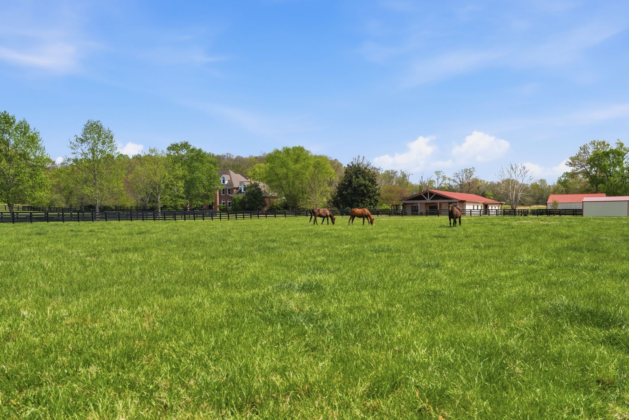 6520 Bridle Way Drive College Grove TN 37046