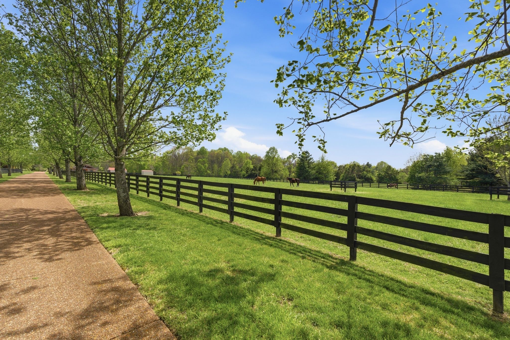 6520 Bridle Way Drive College Grove TN 37046