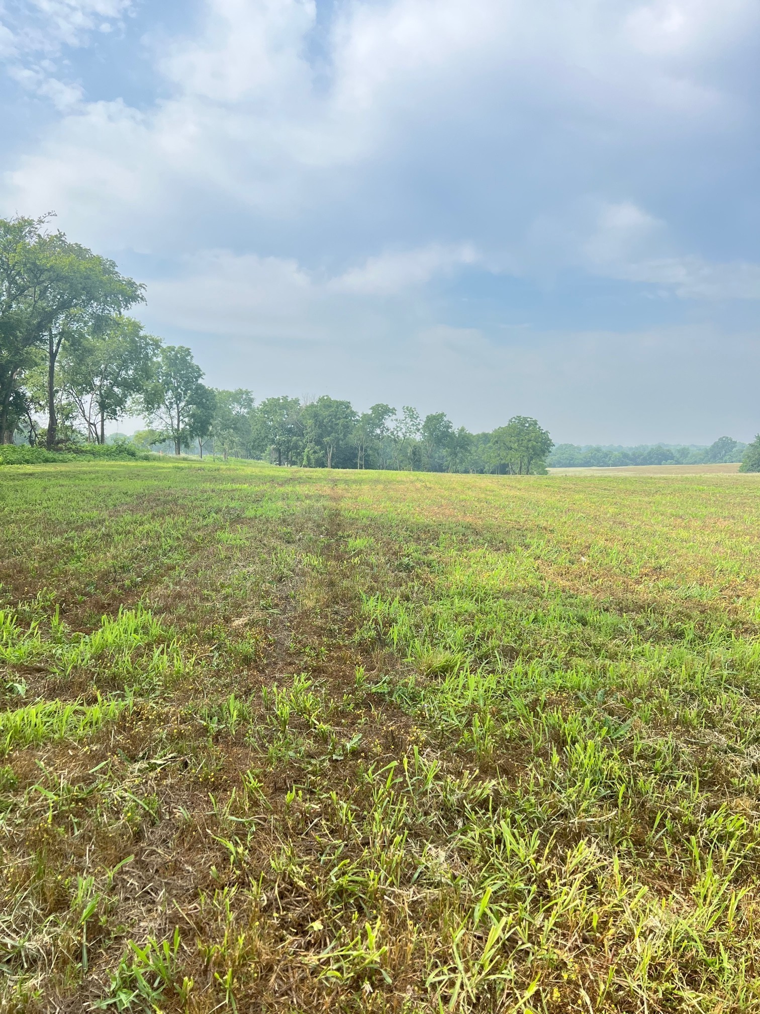 2716 Hartsville Pike Castalian Springs TN 37031