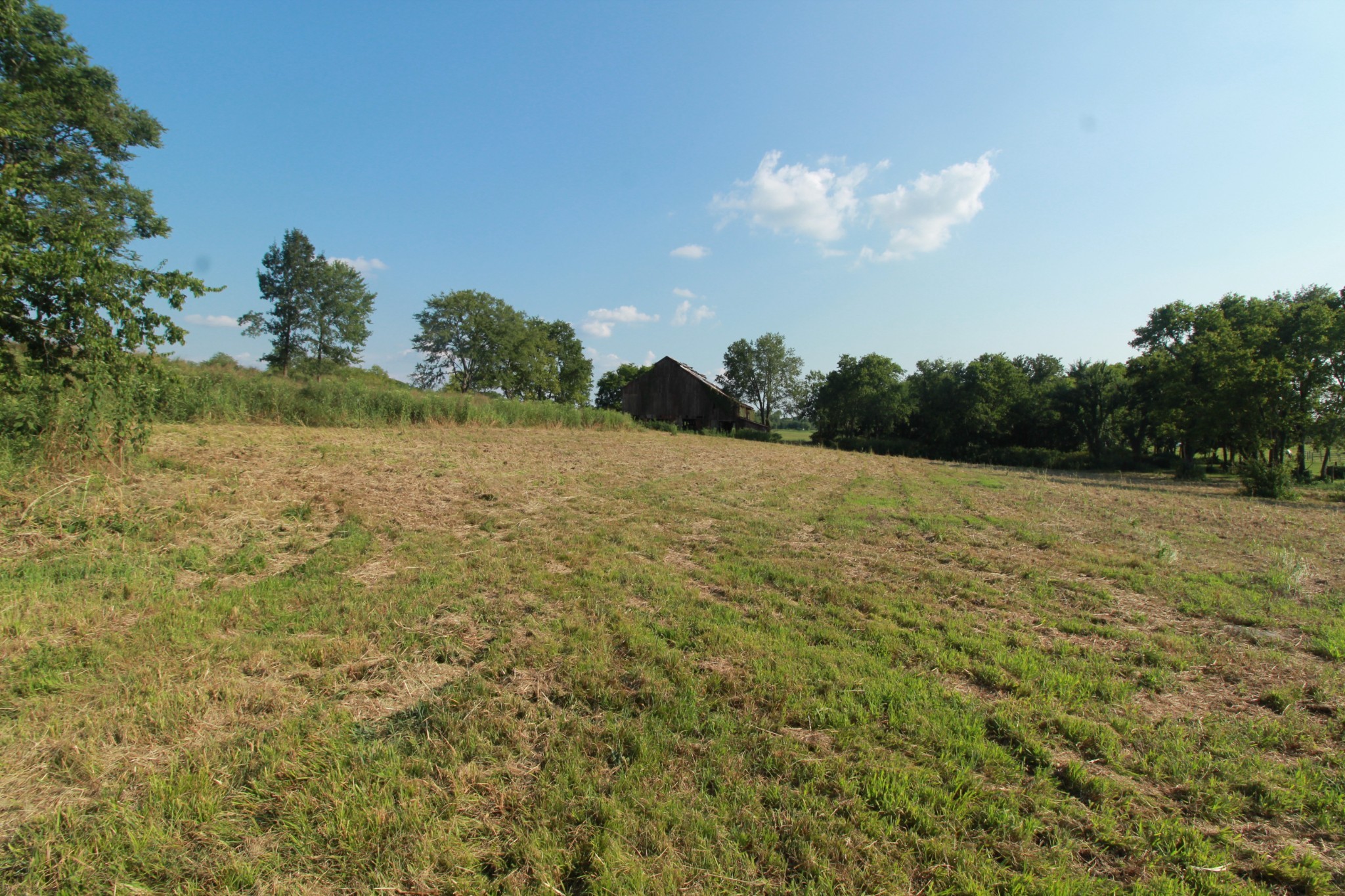 2716 Hartsville Pike Castalian Springs TN 37031