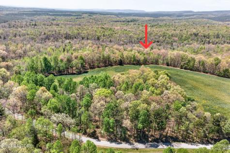 6 Smith Mountain Road Rockwood TN 37854