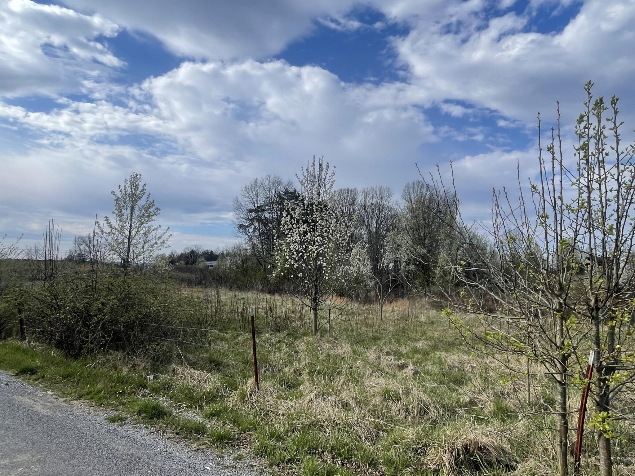 2 Watson Loop Pikeville TN 37367