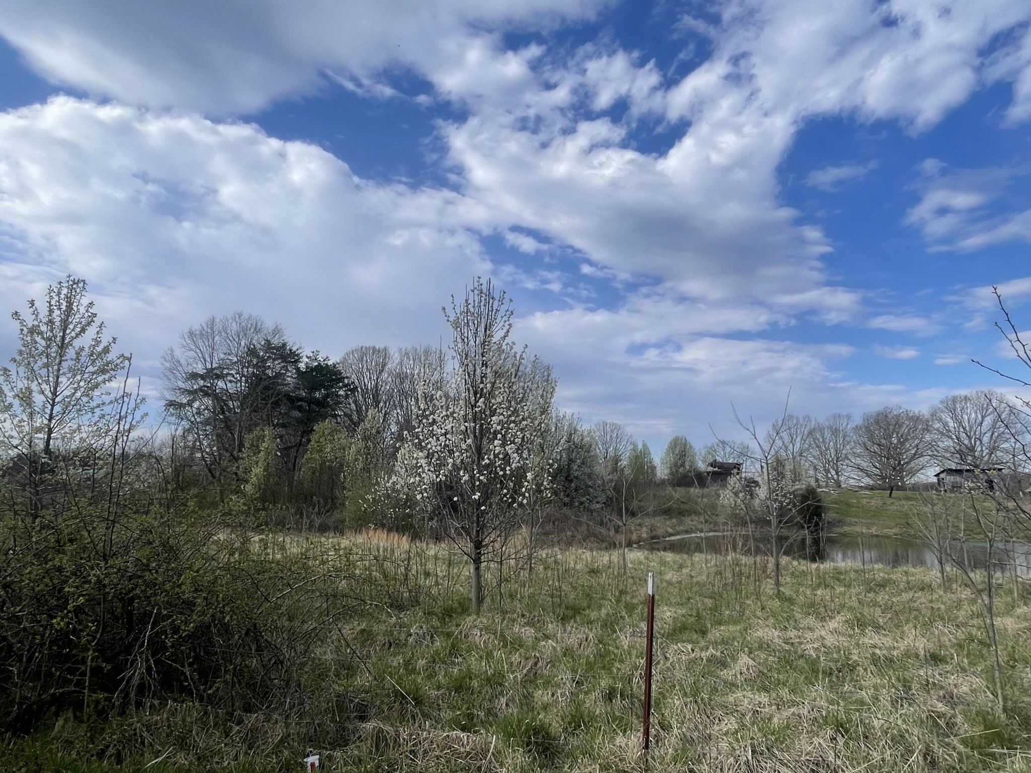 2 Watson Loop Pikeville TN 37367