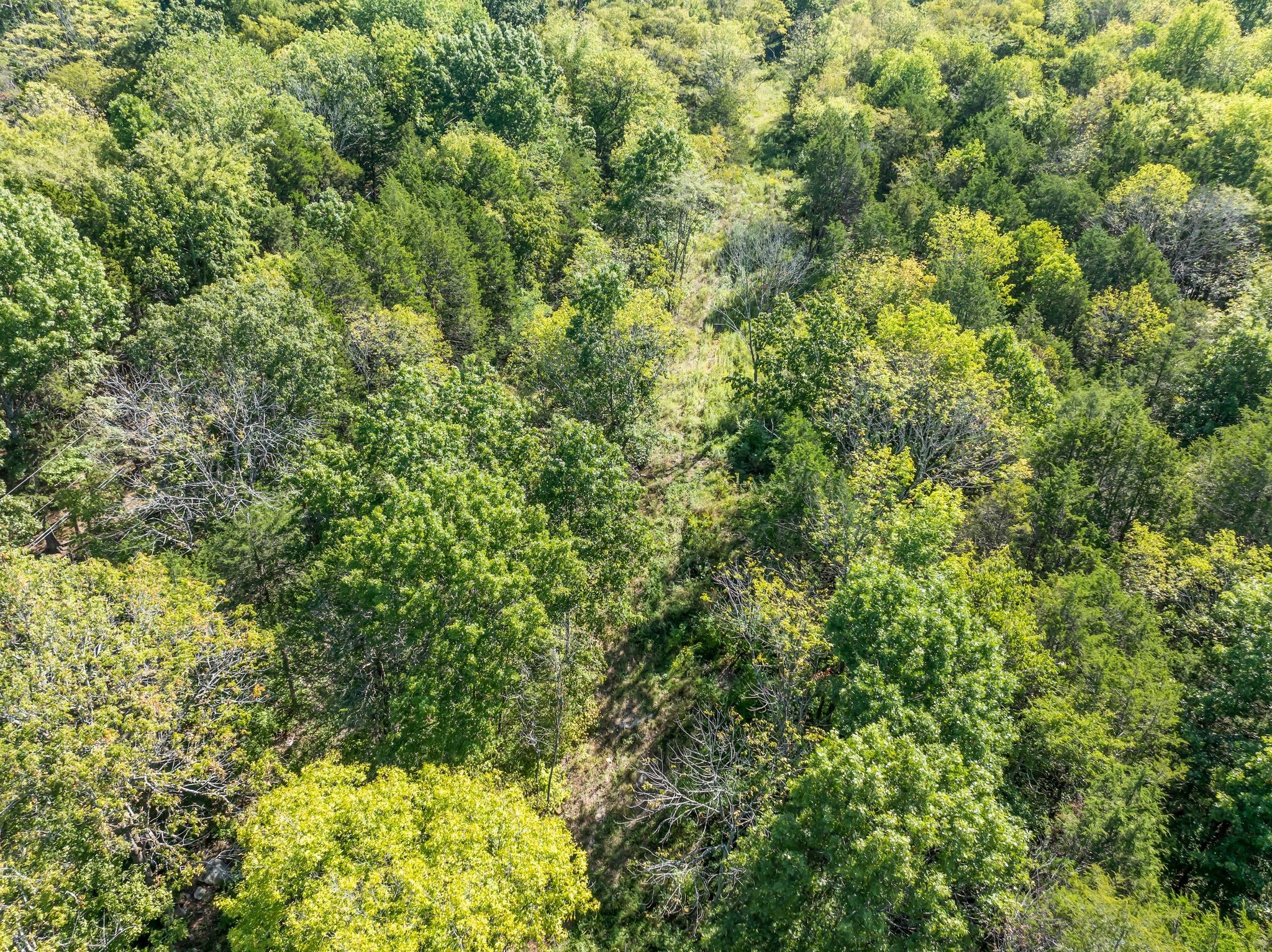 5882 Cane Ridge Road Antioch TN 37013