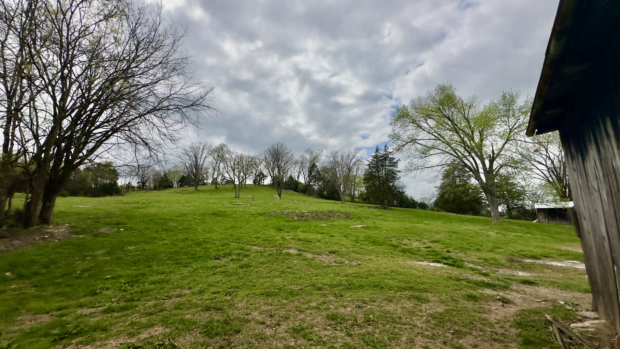 546 W Old Alexandria Road Watertown TN 37184
