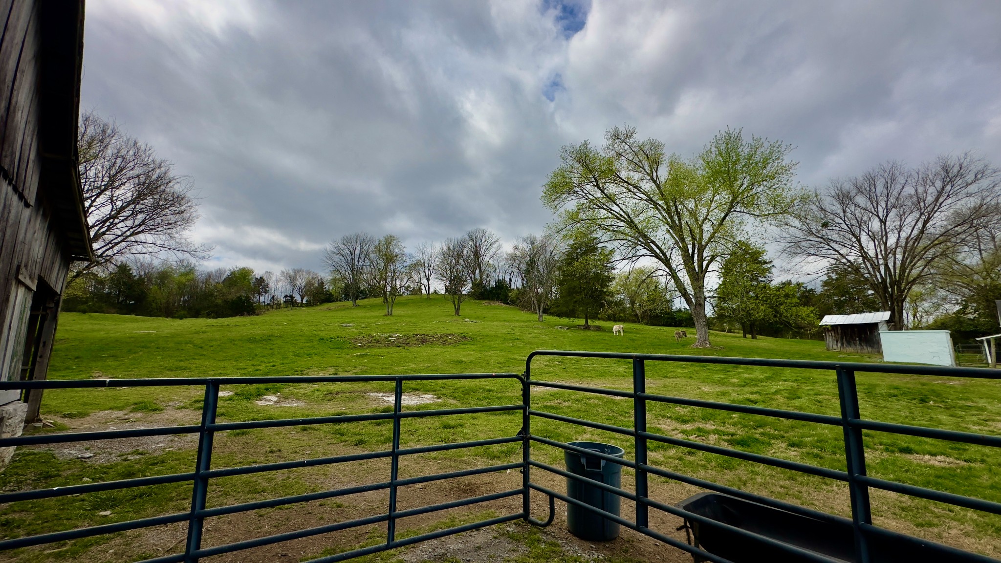 546 W Old Alexandria Road Watertown TN 37184