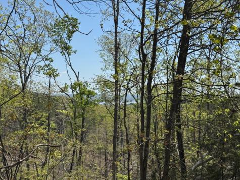 0 Sandys Camp Road Big Sandy TN 38221