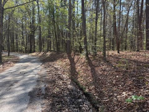 0 Sandys Camp Road Big Sandy TN 38221