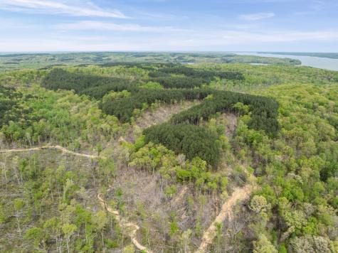 0 Sandys Camp Road Big Sandy TN 38221