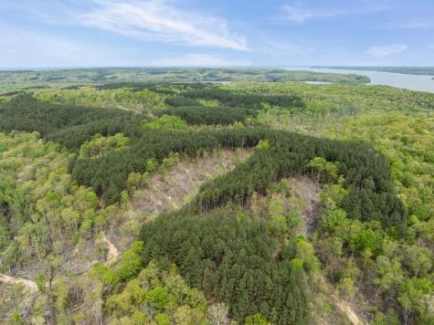 0 Sandys Camp Road Big Sandy TN 38221