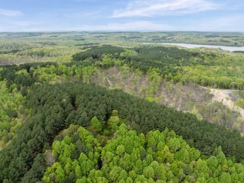 0 Sandys Camp Road Big Sandy TN 38221