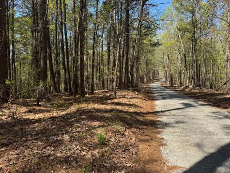 0 Sandys Camp Road Big Sandy TN 38221
