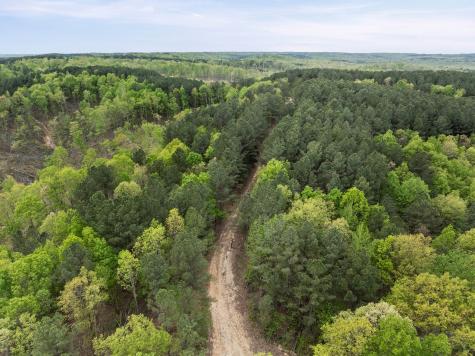 0 Sandys Camp Road Big Sandy TN 38221