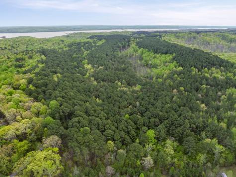 0 Sandys Camp Road Big Sandy TN 38221