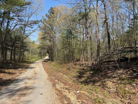 0 Sandys Camp Road Big Sandy TN 38221