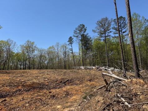 0 Sandys Camp Road Big Sandy TN 38221