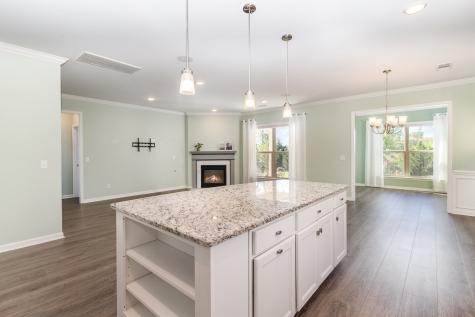 2237 Henderson Drive Spring Hill TN 37174