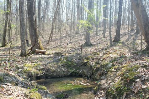 3578 Wolf Creek Road Spring City TN 37381