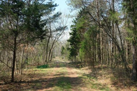 3578 Wolf Creek Road Spring City TN 37381
