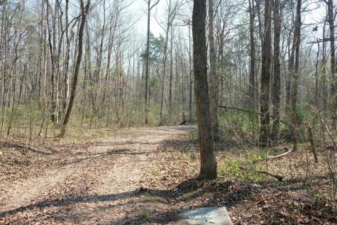 3578 Wolf Creek Road Spring City TN 37381