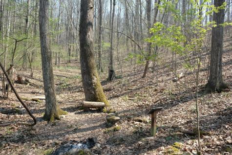 3578 Wolf Creek Road Spring City TN 37381