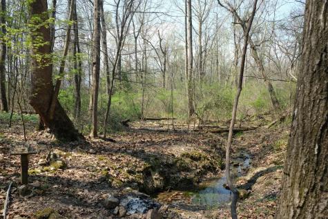 3578 Wolf Creek Road Spring City TN 37381